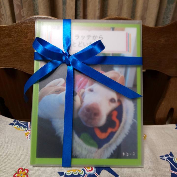 70a89d6f cb87 45d3 bb12 3ef78a434250 1625395736695