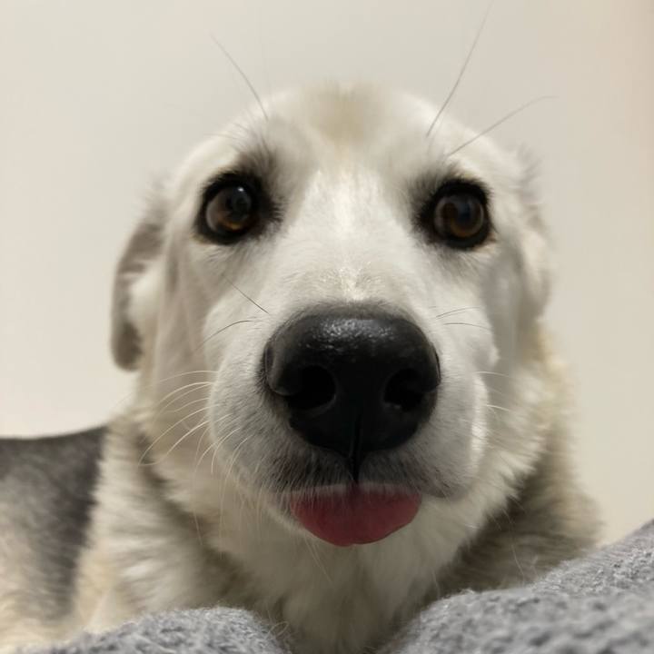 70a8d40c a919 42b1 8669 146f03906df4 1698408802104