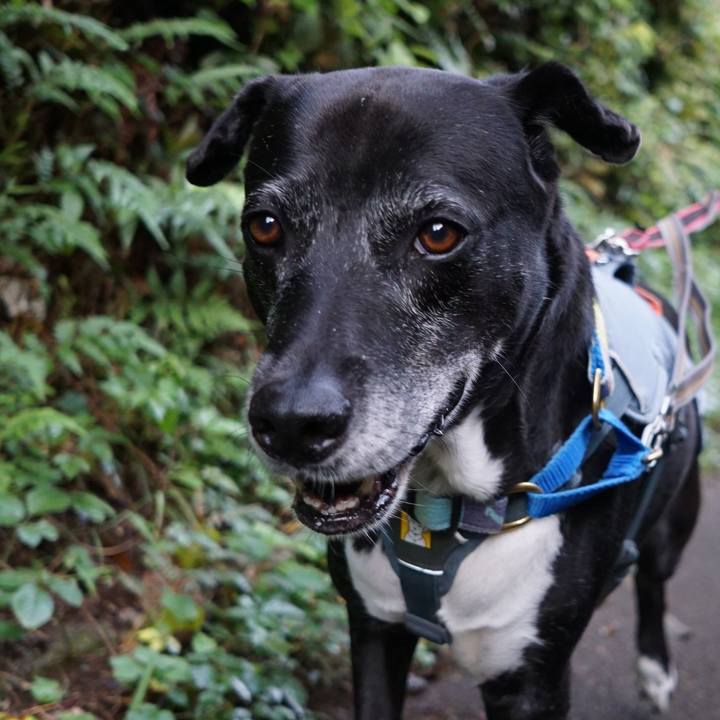 70a8ef79 2d0e 4313 9db2 77c6506609dc 1759402678186