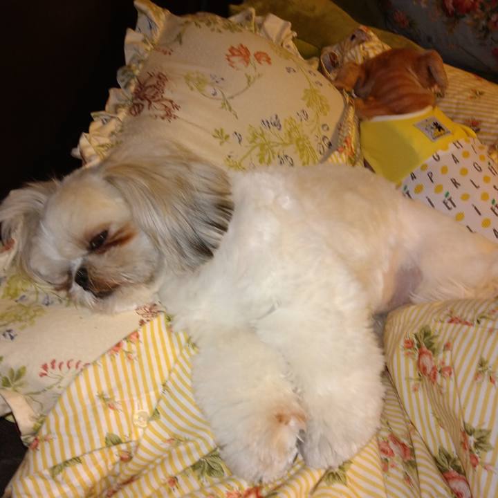 70a91636 d857 4b71 88c0 0f2aa0c58029 1619102658006