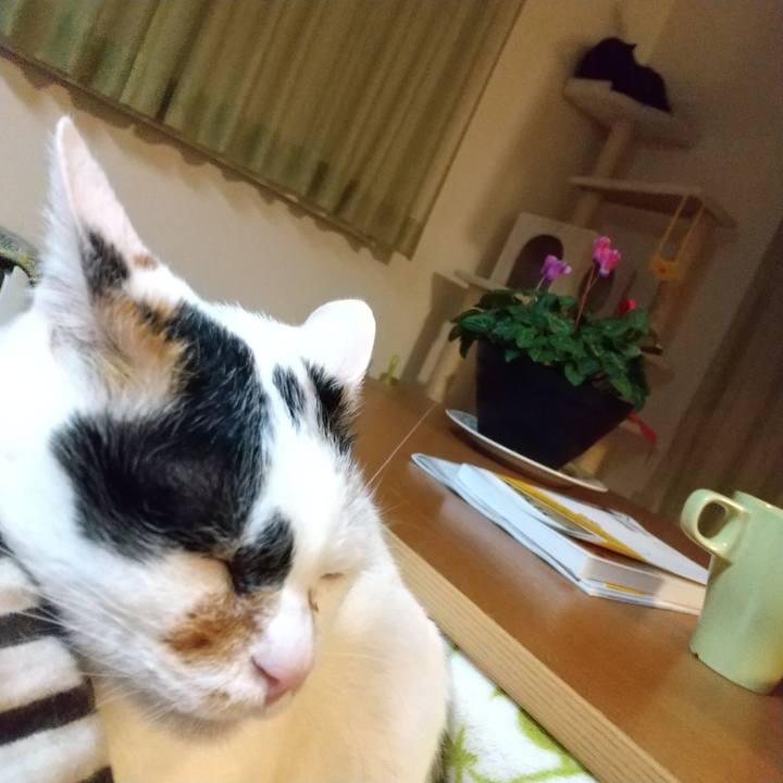 70a935c8 7af1 4782 bf67 e69bae8eb3ea 1617533165956