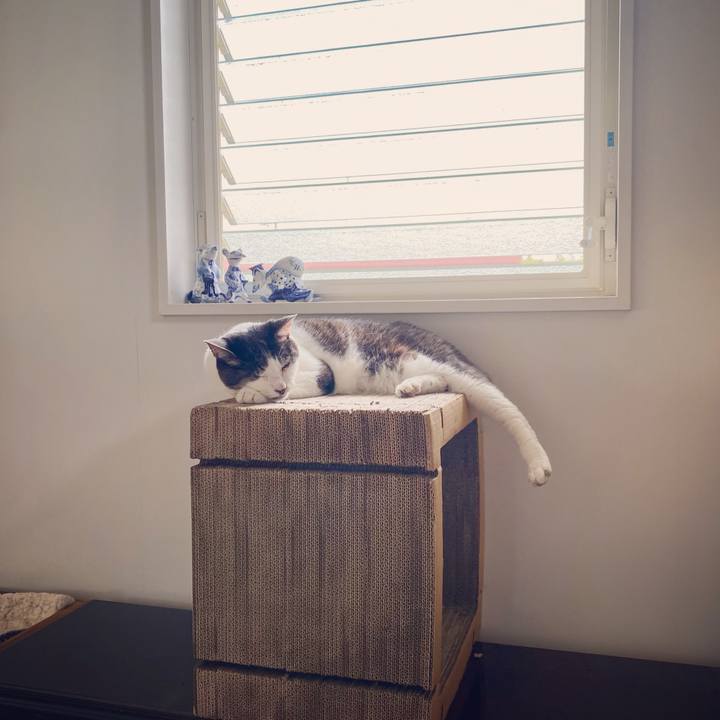 70a96b75 a12d 497b 8598 9f7018b65831 1623405606337