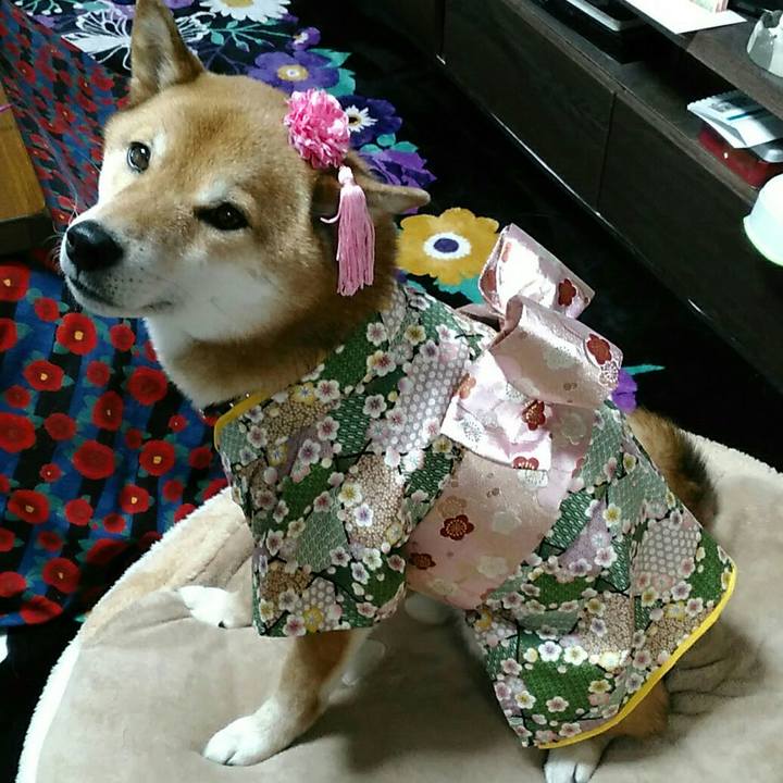 70a99231 5b81 45d4 81d9 304e3936d960 1550564884876