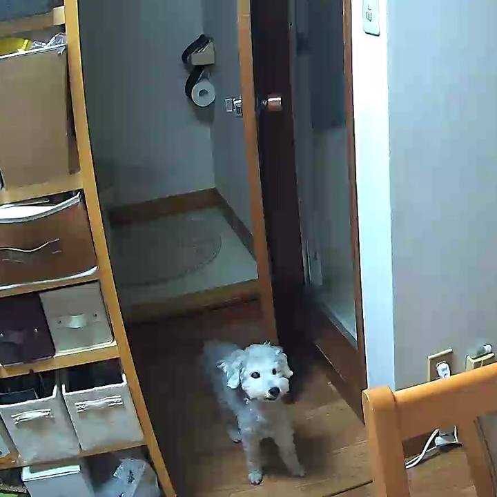 70a9a073 1b72 4e6a 92d9 d989a13b5ec7 1635500321694