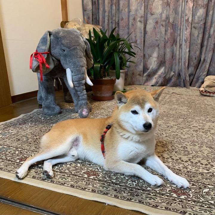 70a9cea9 752a 421d b533 c2ca5ee6b04f 1668327951577