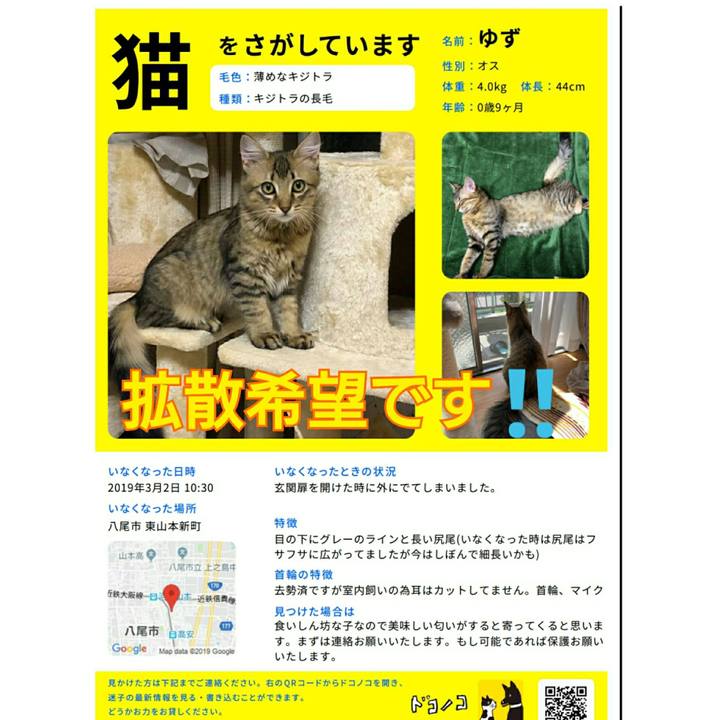 70a9fe94 9ecf 4286 8e90 9d237a047c00 1557400281876