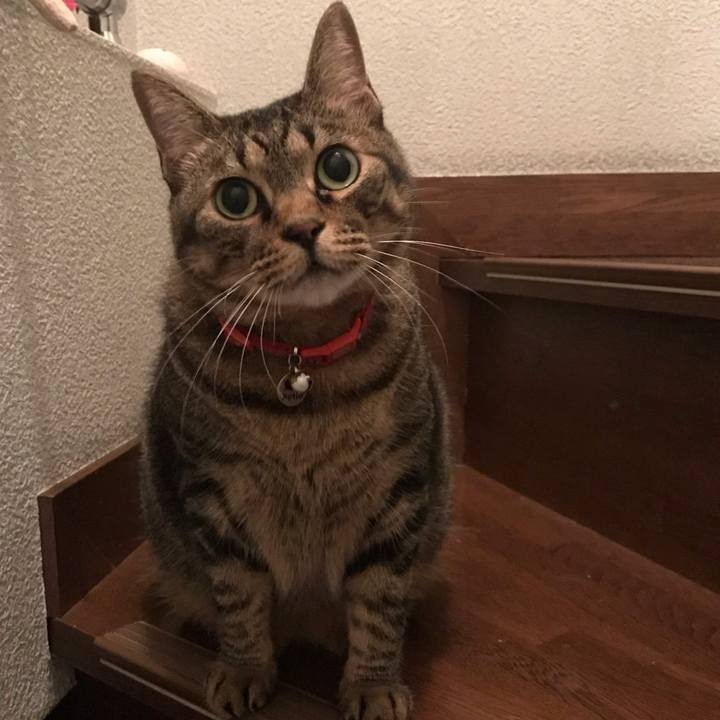 70aa351e 9a88 42c3 9a01 b3bd3741f268 1593267851735