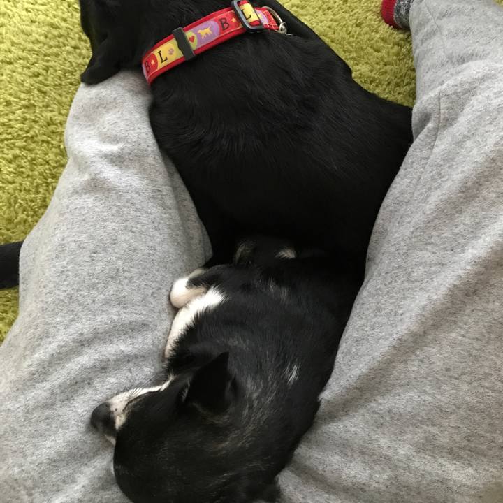 70aa60d6 3882 47b7 bda8 b09acdf60b57 1511668163894