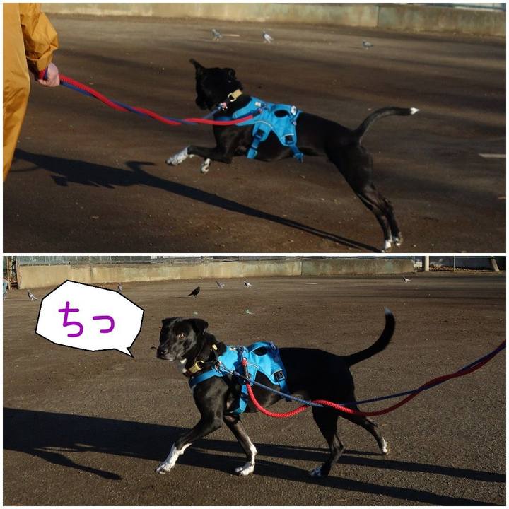 70aa6b5f 20f5 4200 a097 d226e6428343 1613435627369