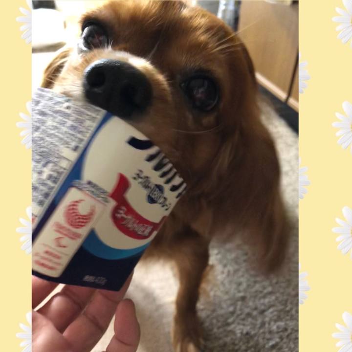 70aa74df 9fe2 4d41 a830 8508d9c62234 1597015967959