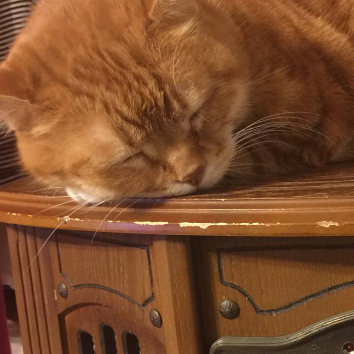 70aaa3ab e962 4a4a 928a c4cc6fe13faf 1547477256314