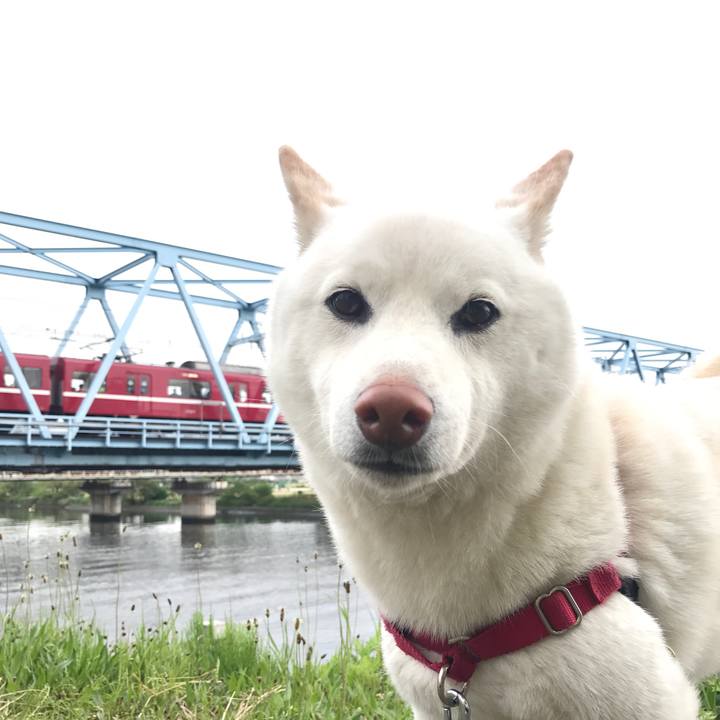 70ab20d8 1e9c 45f5 962c 7346fa62cfc8 1523922233496