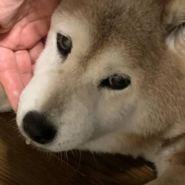 70ab5114 bfaa 41c5 b579 fbf122247fc9 1665148604277