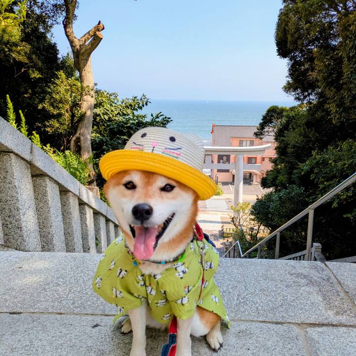 70ab6002 a021 401e 8779 9f21538b6f7e 1757419304365