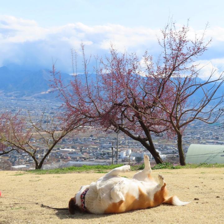 70ab6c78 a7ea 4e42 953c eabcc99bb351 1647868122462