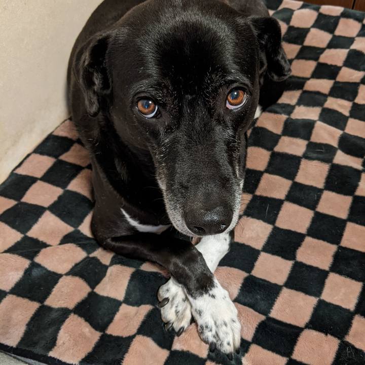 70ab7f62 cf94 4559 8e32 a0165fbb7cd9 1703638154229