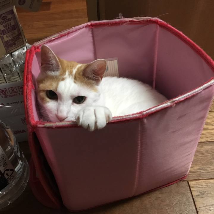 70ab90ac fed8 4e26 aadb 62d19b65105b 1530096799978