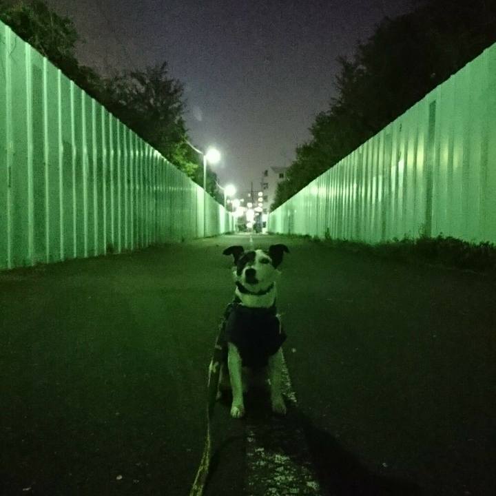 70ac1f0f b963 487e ad3d 0d2cbff4e7b1 1522839635418