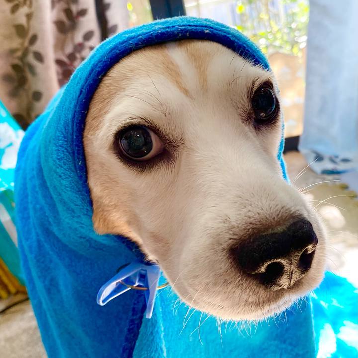 70ac8930 8a48 4782 ac6b 0ff69876d946 1634703407555