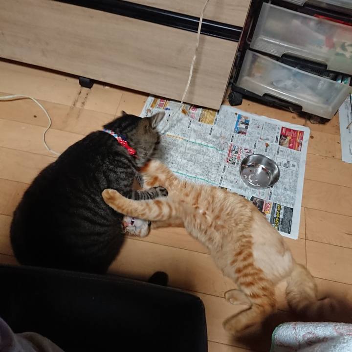 70aca145 6c0b 4e8e b5ac 0e26e2d362fa 1657057399950