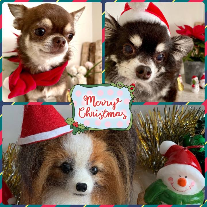 70aca85c c6fe 48ad a053 176e28b7f13d 1703423757576