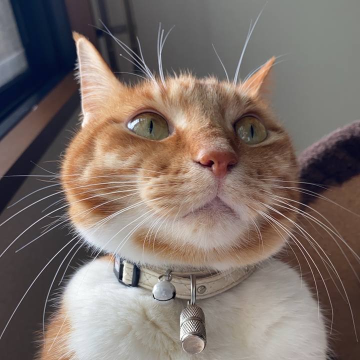 70ace638 d50f 470a 8376 1c895060b422 1653129800765