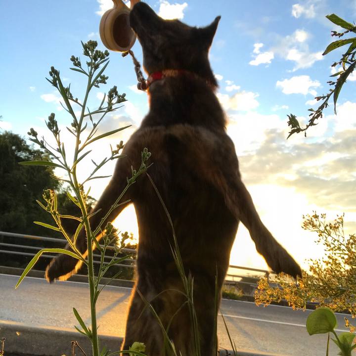 70ad20f3 4e78 418f b99a 3f5dc27f89de 1538041230449