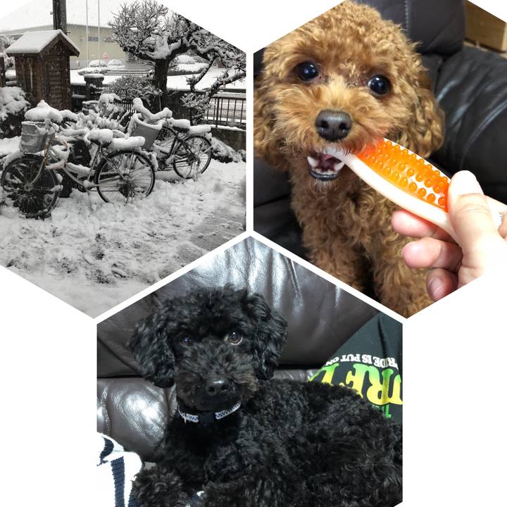 70ad34c2 1dc8 4c1e a0ec e173f59f691e 1516602580177