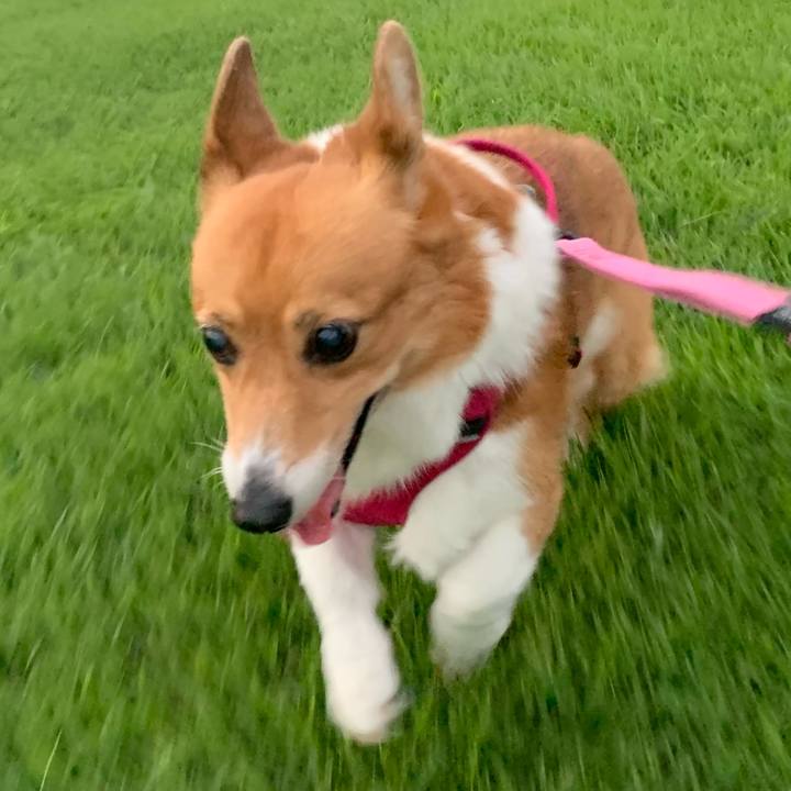 70ad4a1f f4f8 4466 8a75 827a3b755d21 1725703374610