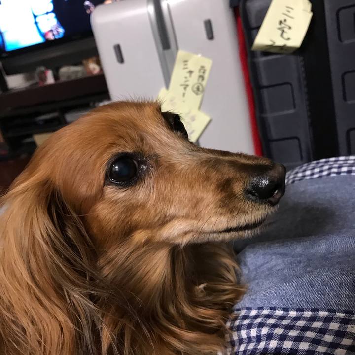 70ad665b 2b50 4648 89af 208445ba5395 1580562105590