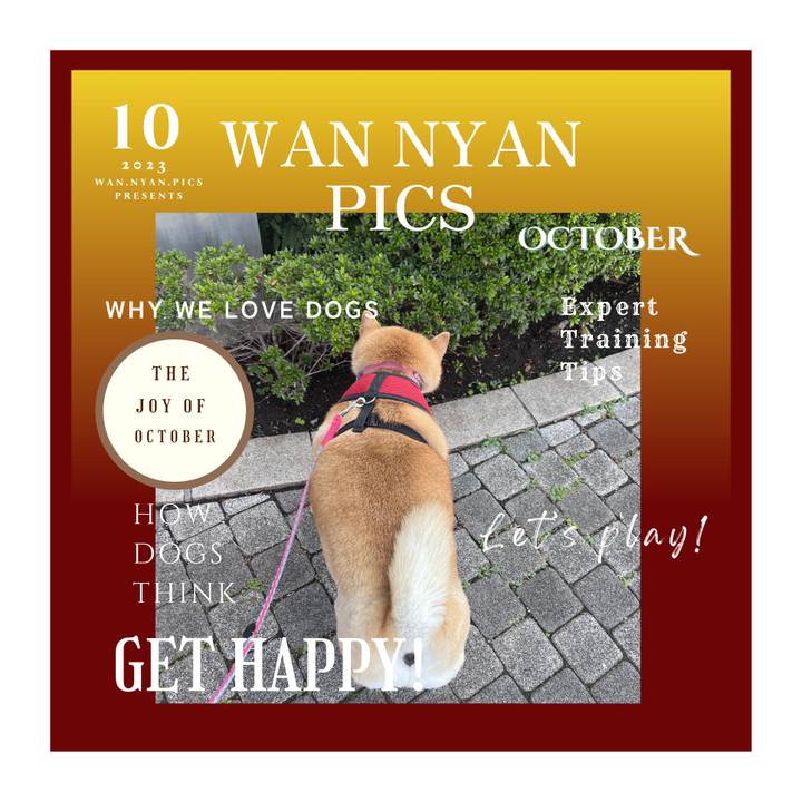 70ad6d53 f60f 413d b90c e819f73a2e41 1697755466733