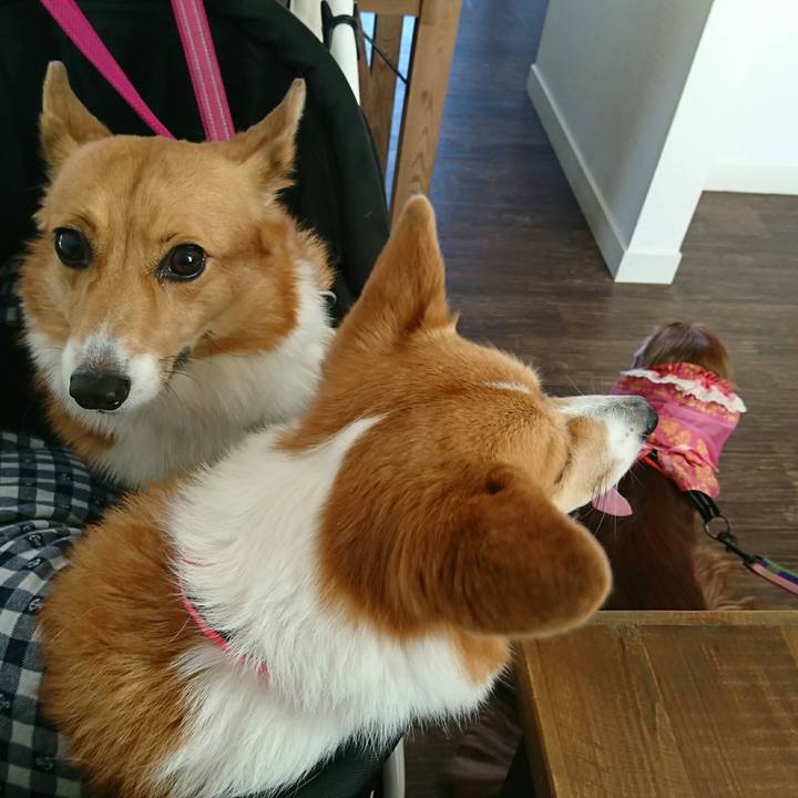 70ad8f2a cf78 4e37 9d86 958686469c3f 1544008585878