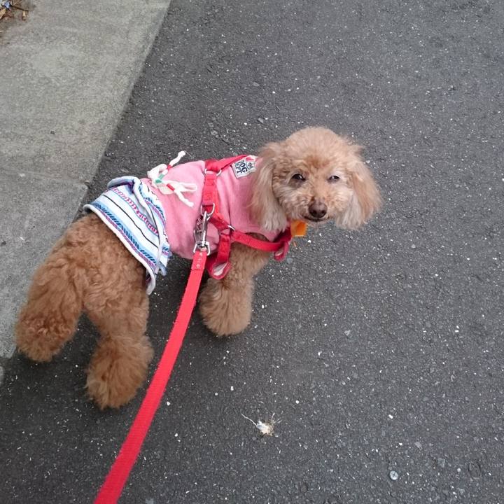 70ad98e0 4833 430b 95ab 903b395fe81a 1525086541241