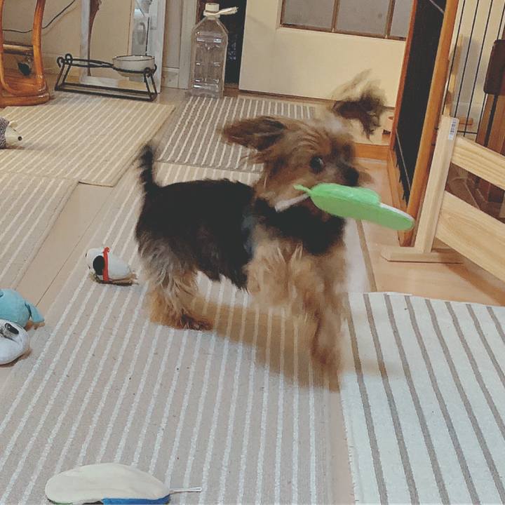 70adb434 2b31 452f a0c2 92dddbbde748 1586129579634