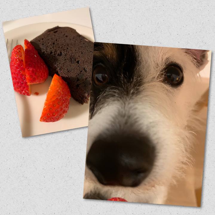 70adcf13 e2c4 4437 8344 5c6da9d92be0 1555680810604