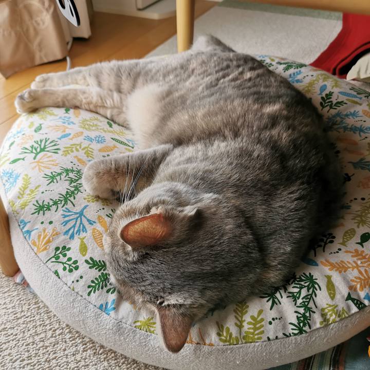 70addcdc cf40 4bd6 aa38 a4b3c136dac2 1628642219467