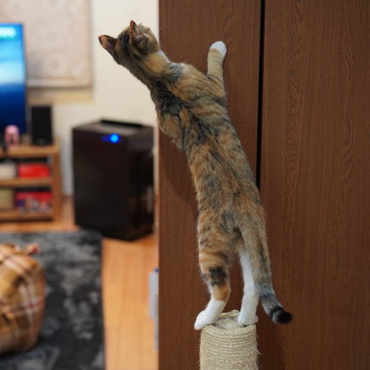 70ade24b 42b8 44e7 8722 3513f4e35167 1576625902396