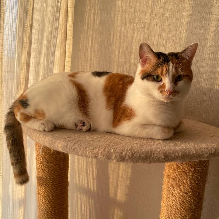 70ade660 cbae 4e02 a642 c91936cef54b 1609056503036