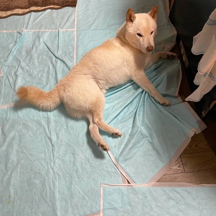 70adfbc3 7d04 4f0e bf5c 2841c99a831c 1635769061649