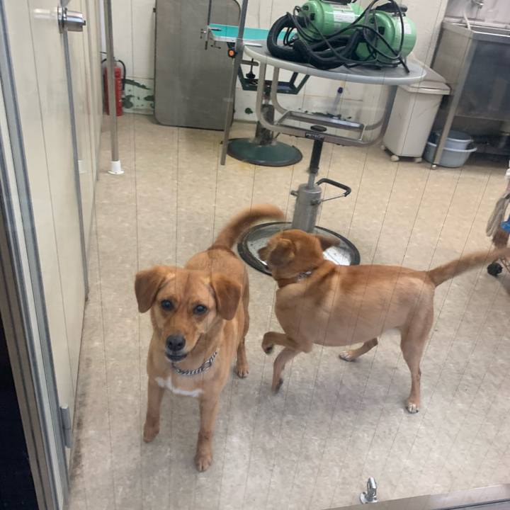 70ae12a1 c605 4e28 8243 4825ff44267f 1622854391721