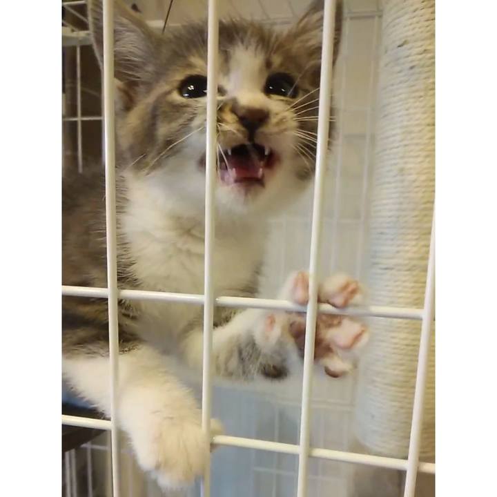 70ae183c 6531 4ddf b843 627cc1d14d91 1654516485426