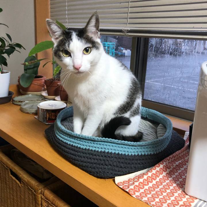 70ae1f30 2a5f 4795 b31c 46ef7742f0f9 1712094616289