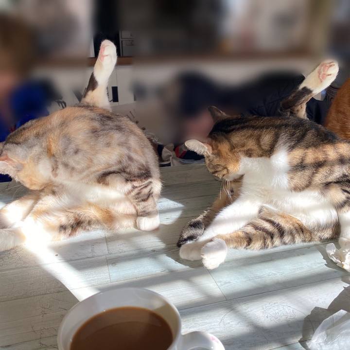 70ae2b29 367c 49a0 9a71 34629c4d2ae9 1608775252725