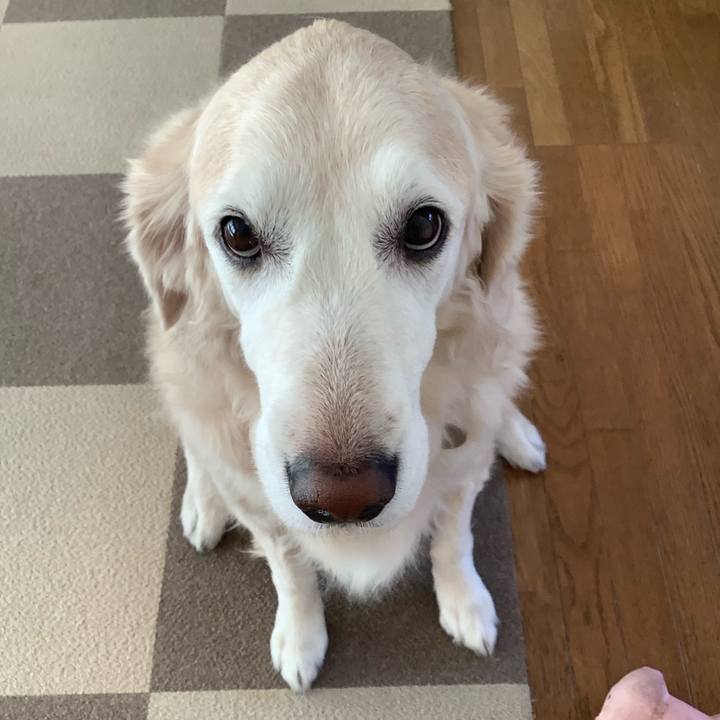 70ae3cac 2189 48d6 96dc ccbe9a17de27 1668124269546