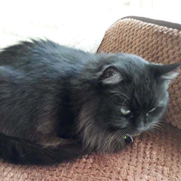 70ae4ddb 2bae 4aeb 8d98 5e3346a0f638 1521760734815