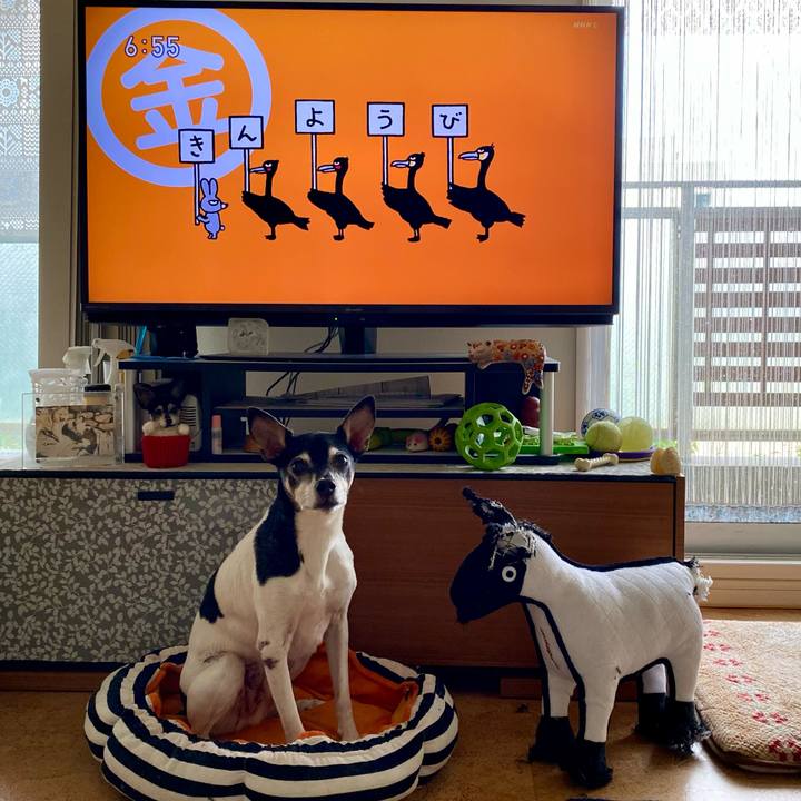 70ae5210 dbc0 48da bfec f2560d117d46 1622153427681