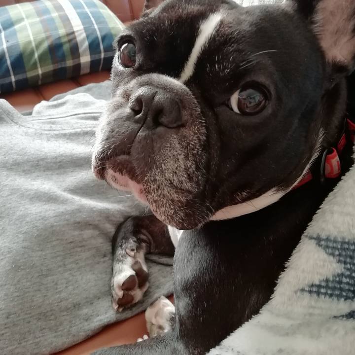 70aeda89 1e8d 44cb ad68 4d42f5f36114 1548718133863