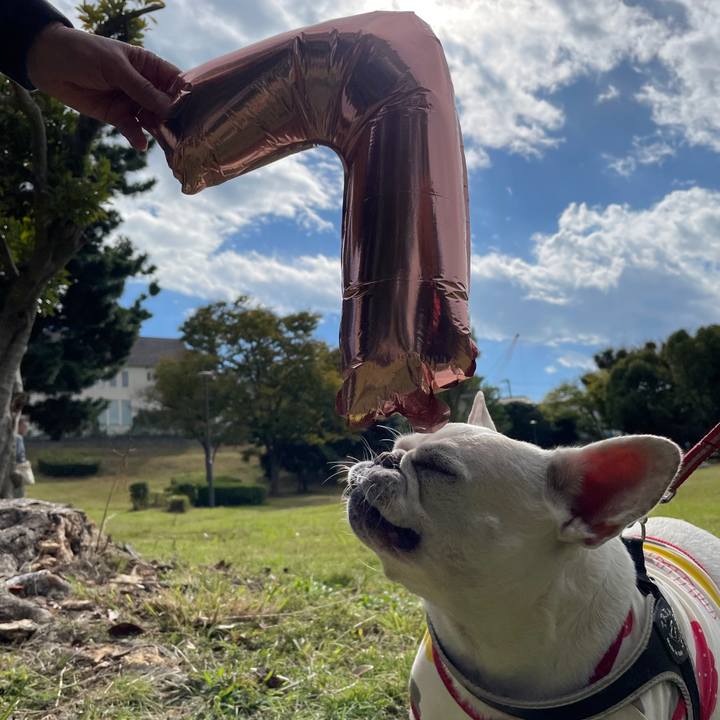 70af35c8 ae05 42de 81c0 60dbe786027e 1762160865671