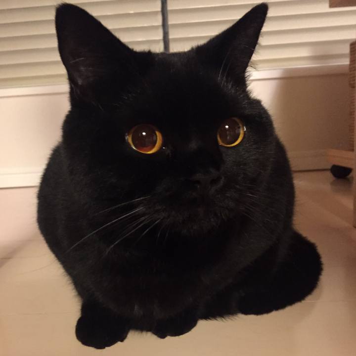 70af47ae 5577 42bc bb8a f3f7bdde45d6 1526217734893