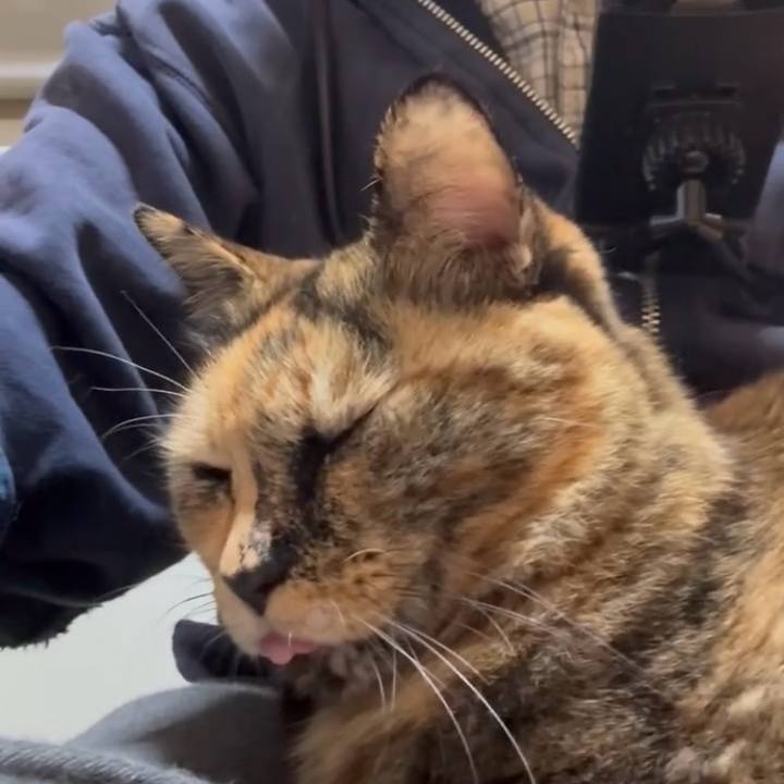 70af5a44 e5ca 4880 8dc2 dc6c1a633654 1761617429159